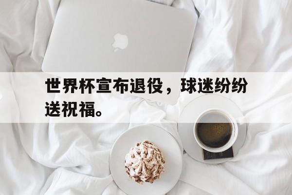 九游在线平台官网-世界杯宣布退役，球迷纷纷送祝福。