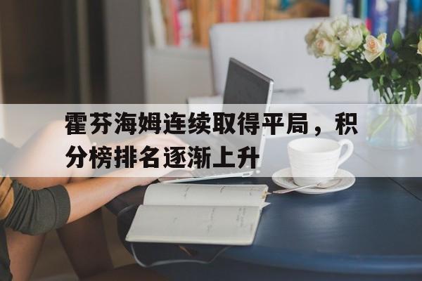 九游在线使用网址-霍芬海姆连续取得平局，积分榜排名逐渐上升