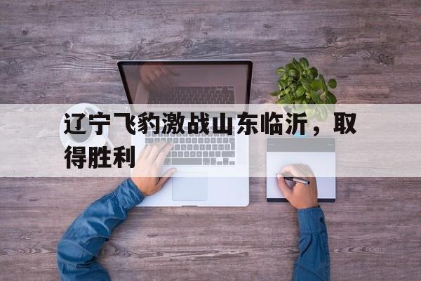 辽宁飞豹激战山东临沂，取得胜利